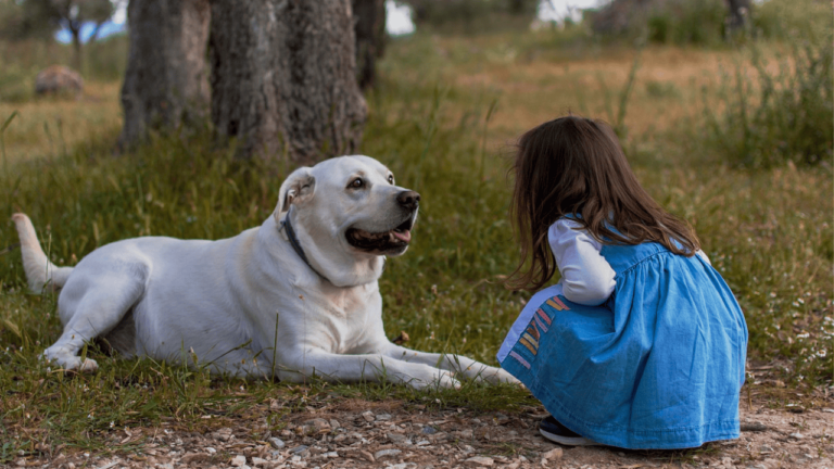Featured: Little girl and Labrador