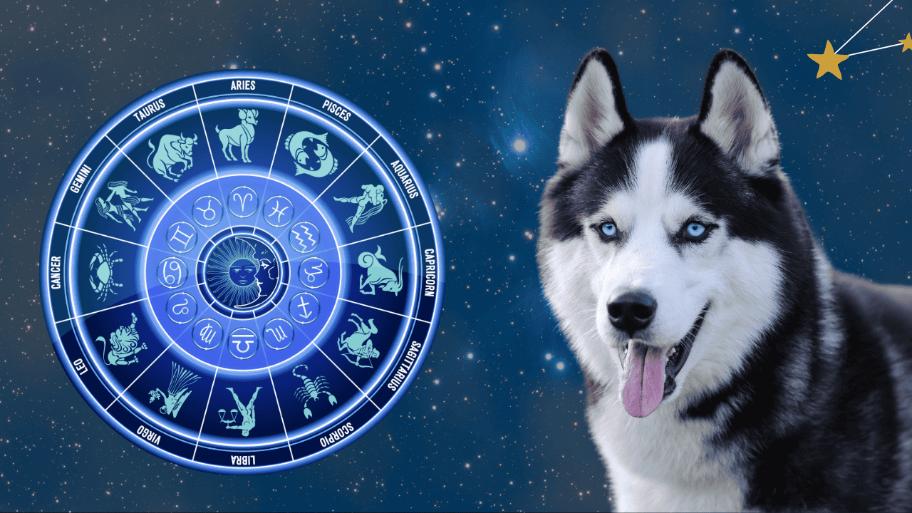 The Most Compatible Dog Breeds for Every Zodiac Sign