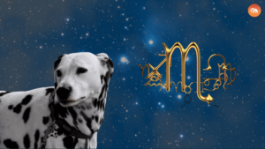 Dog Breeds for Every Zodiac Sign-Scorpio-Dalmation