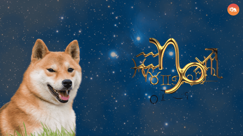 Dog Breeds for Every Zodiac Sign-Capricorn-Shiba Inu