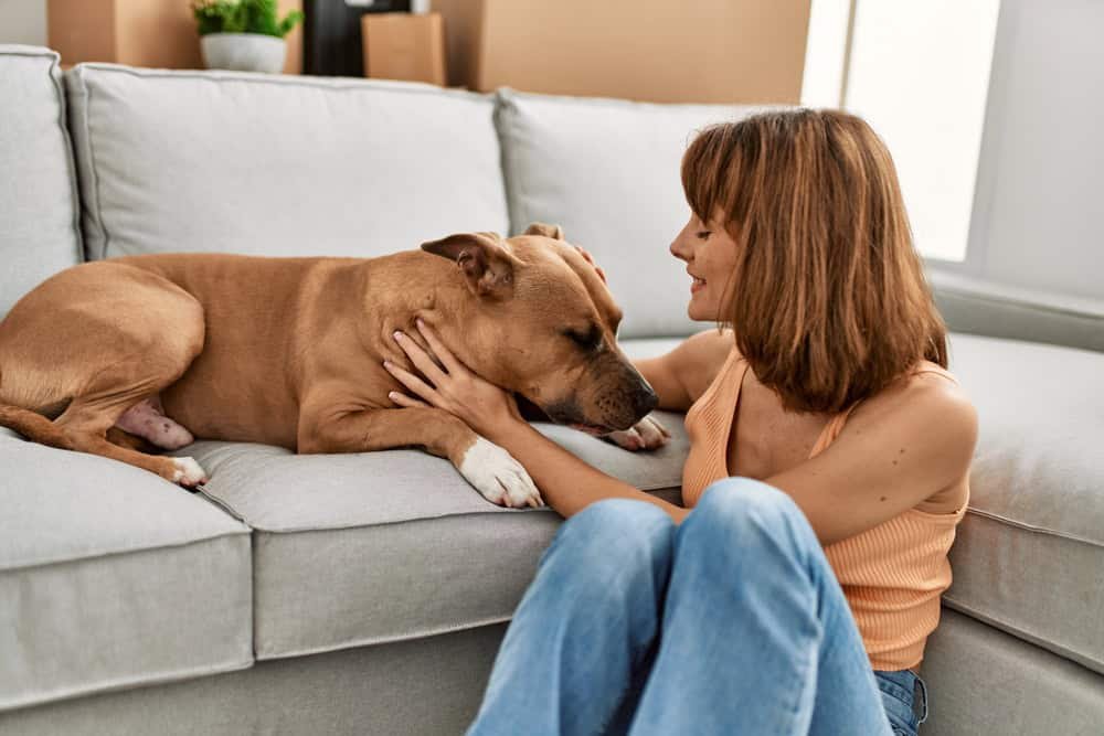Woman hugging dog sitting on floor at home