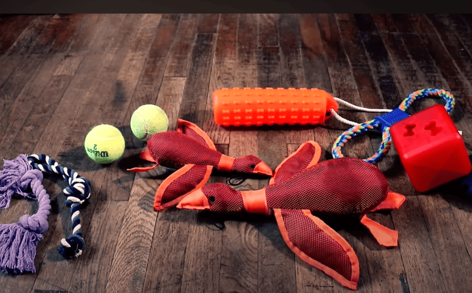 Plush toys for dog.