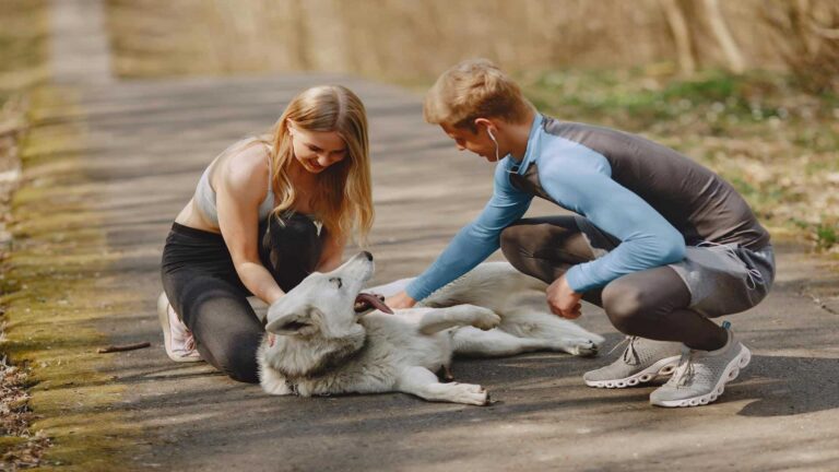 Featured: Two people petting a dog.