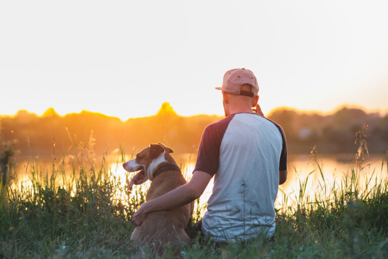 your dog can smell your stress