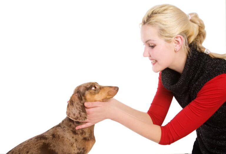 staring into your dogs eyes
