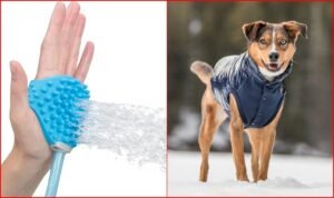 Useful Pet Products of 2024