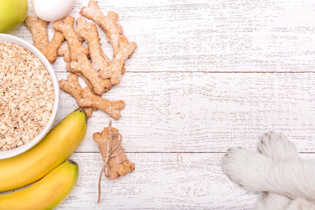 Oats for dogs 