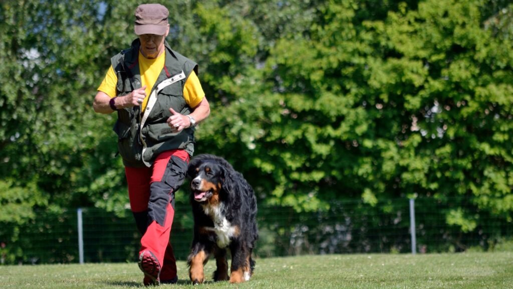 Dog training