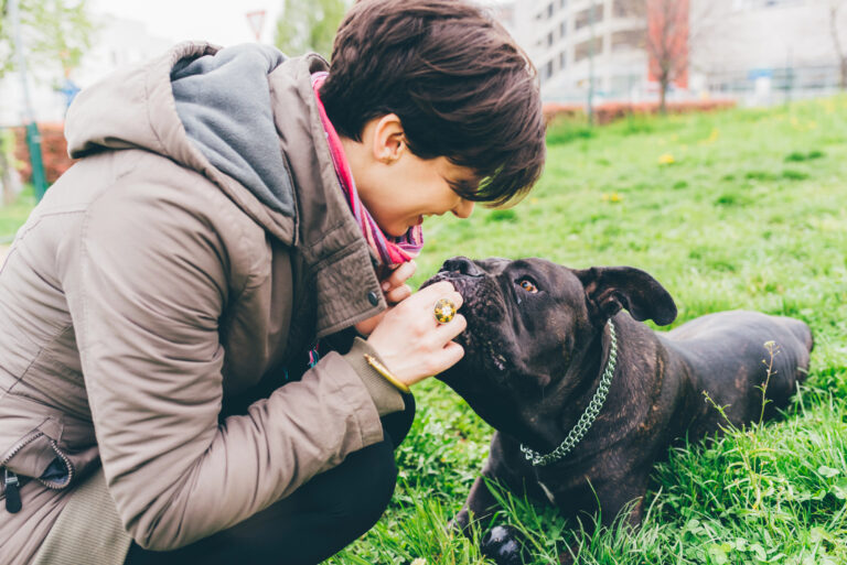 Dog and owner looking at each other