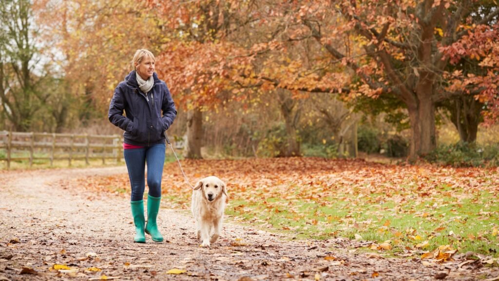 Woman walking with Labrador
