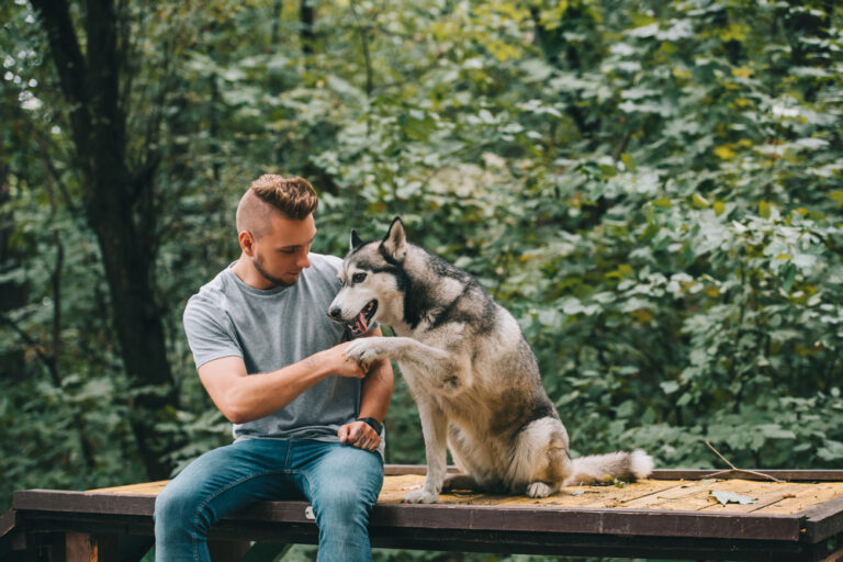 Cynologist holding paw of obedient husky dog
