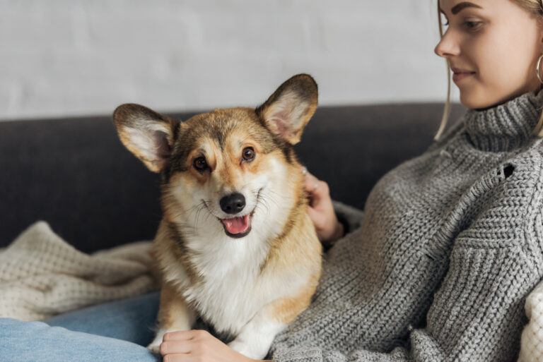 8 Things Every Dog Owner Should Know