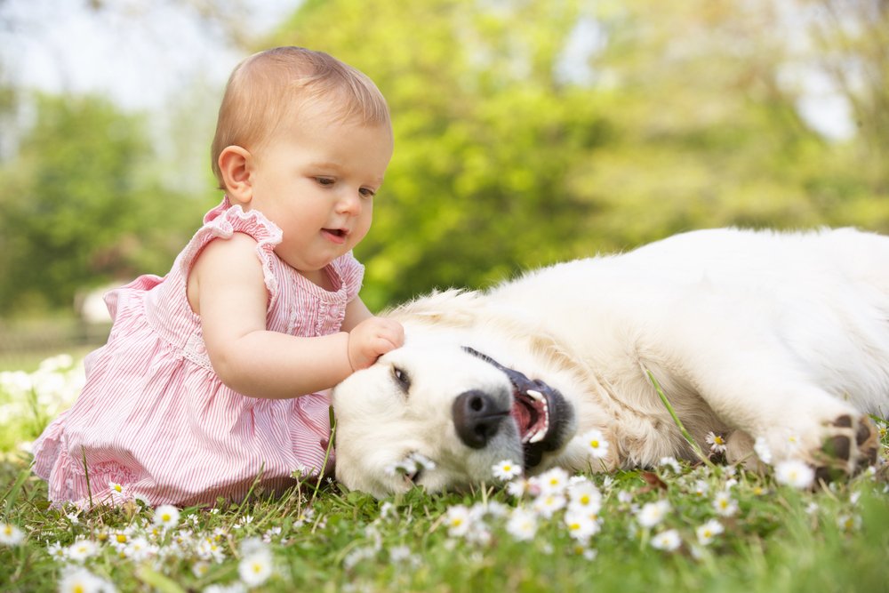 Baby girl petting her dog.
