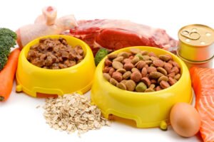 wet and dry pet food