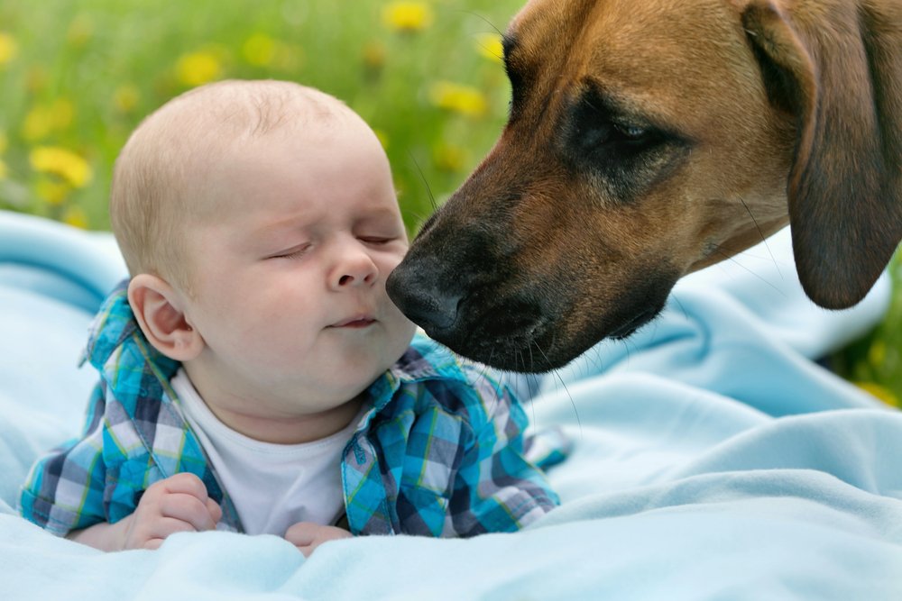 Little boy kissing his dog.