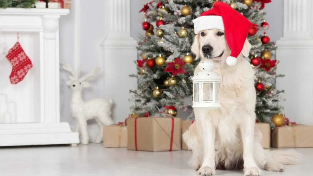 Happy dog in Santa Hat.