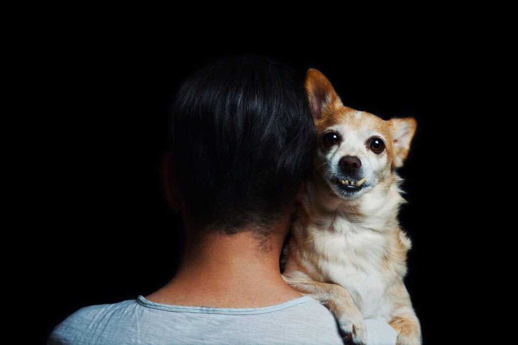 Possessive dog bahavior