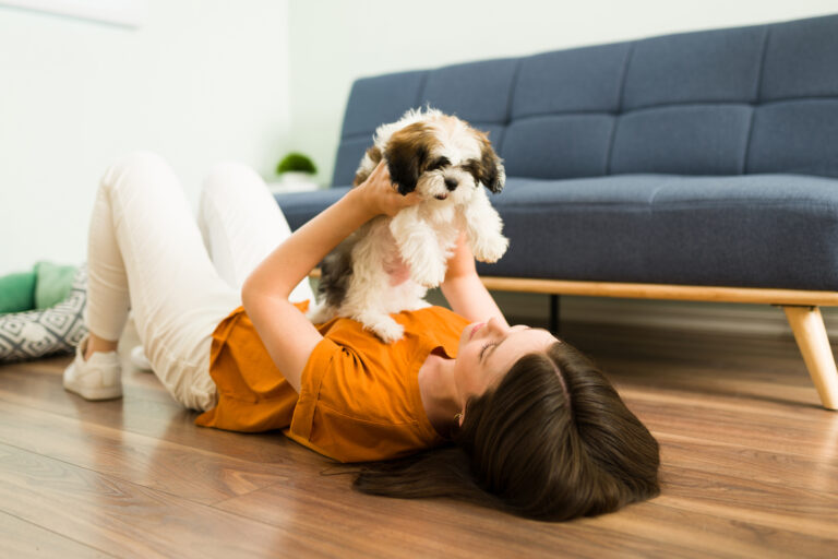 cute puppy