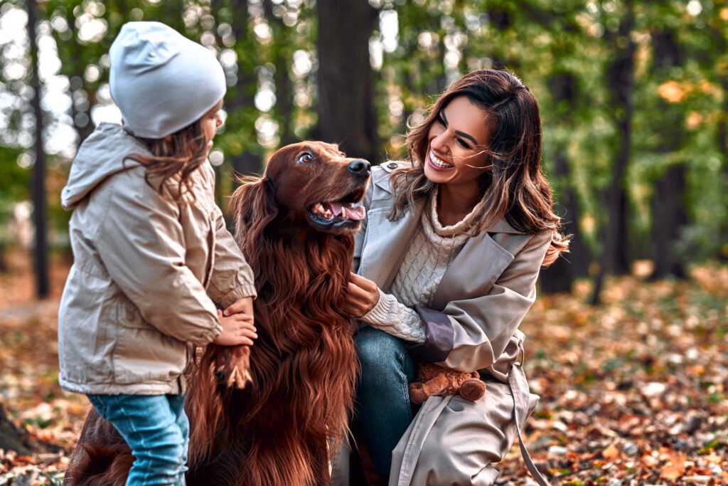 Irish setter with family
