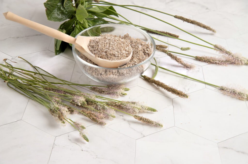 psyllium husk