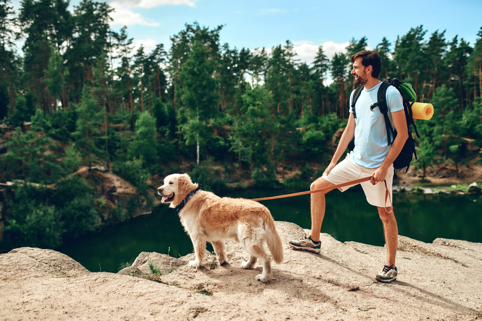 8 Exercise Ideas for Your Senior Dog