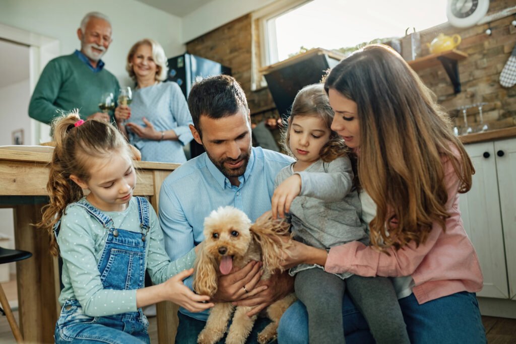 poodle with family