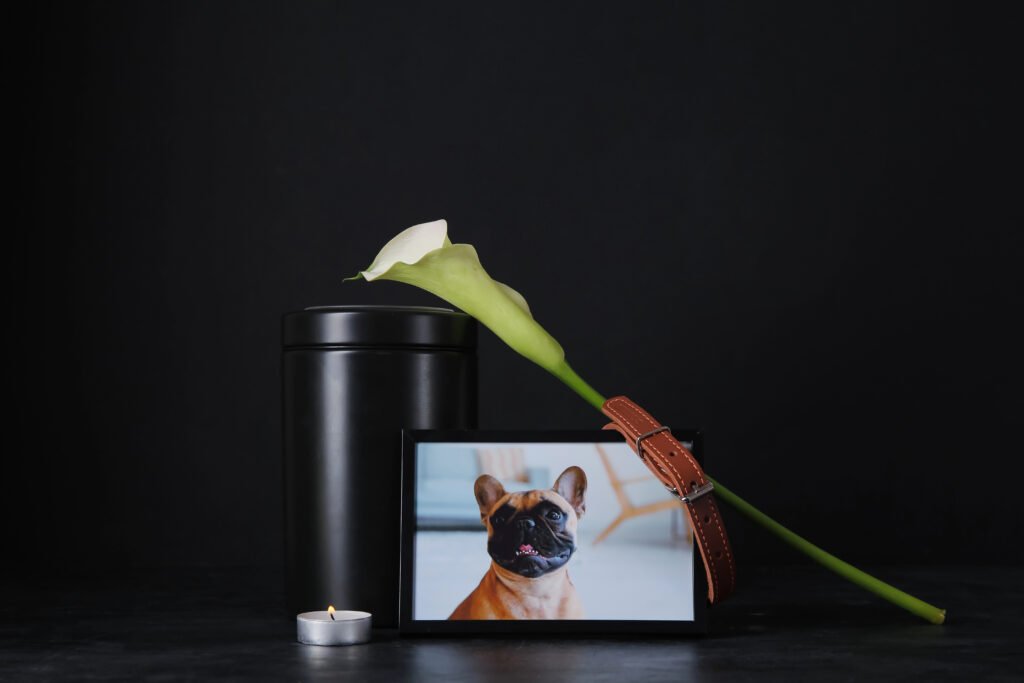pet memorial