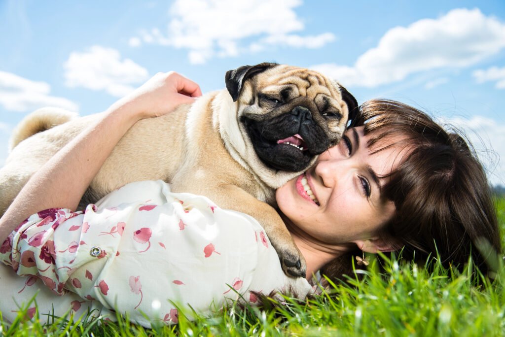 dog lying on owner.