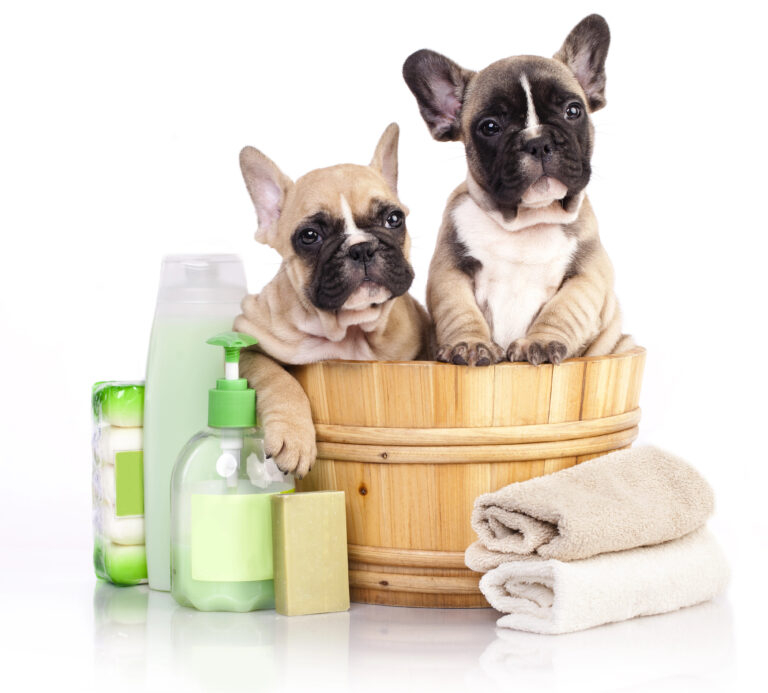 Dog Shampoo