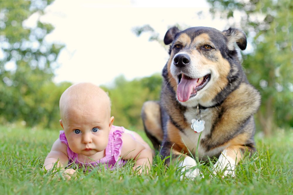 Baby with her happy dog companion.
