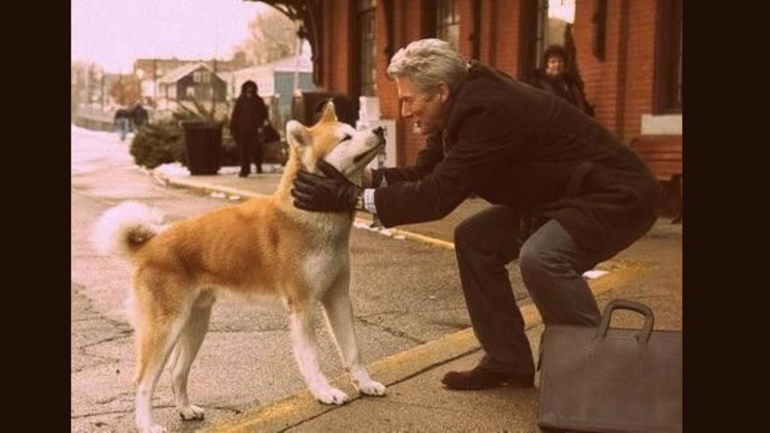 The Heartwarming Tale of Hachiko, Japan’s Most Famous Dog - Doggodigest