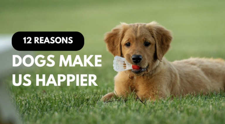 12 Reasons Why Dogs Make Humans Happier