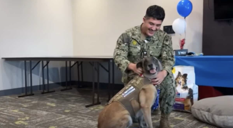 The Emotional Reunion Of Retired Military Dog And His Former Handler 