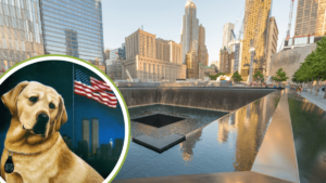 Sirius, The K9 Hero of 9/11 Who Fell in The Line of Duty