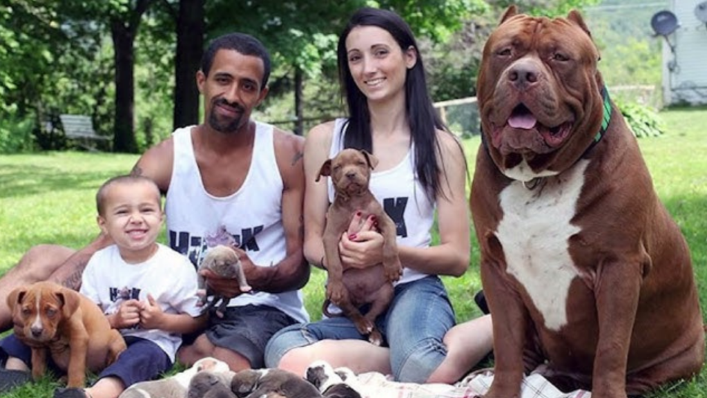 Hulk with his human family and some of his babies