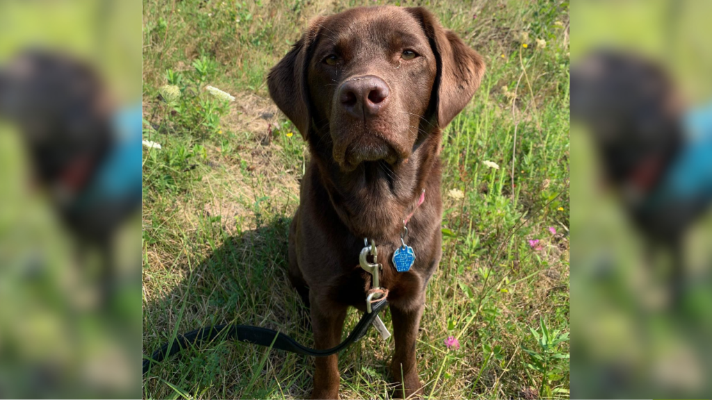 Conservation Ambassador Tilia