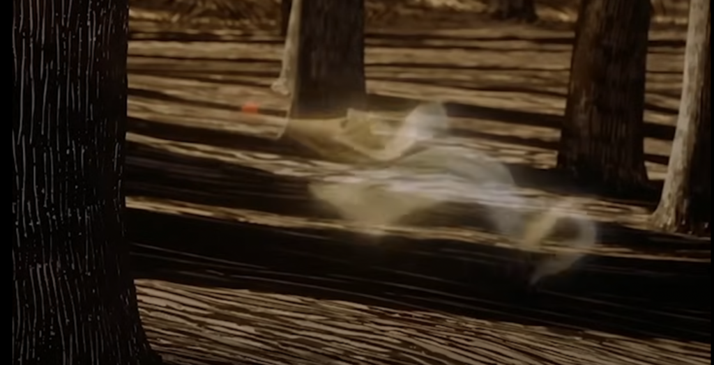 Zero