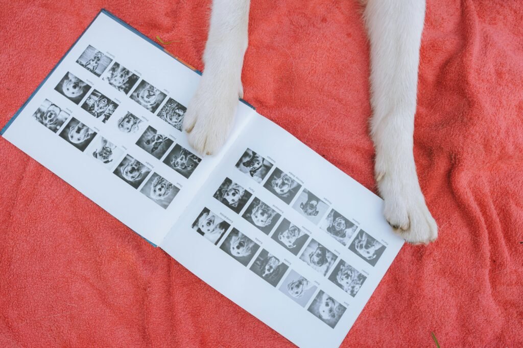 Dog memories