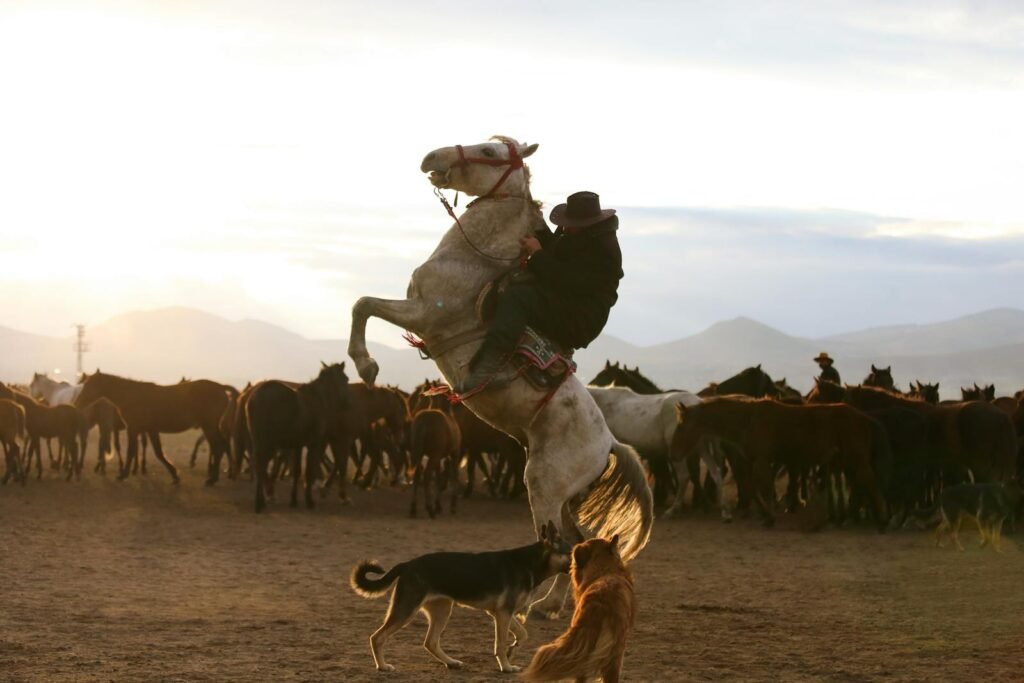 A cowboy rides a rearing horse at sunset, surrounded by a herd of horses and dogs.