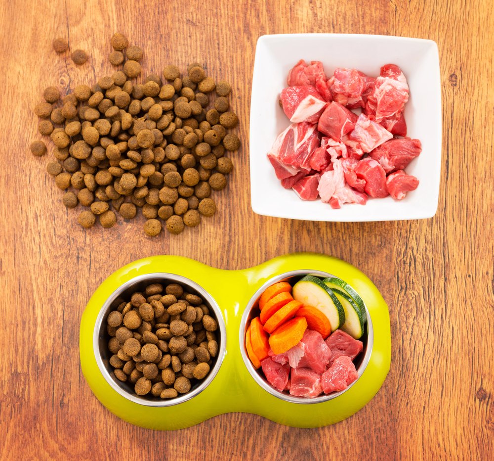Dog diet.