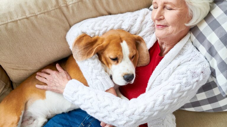Featured: Elderly woman sleeping with beagle dog
