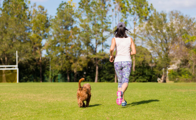 off-leash training