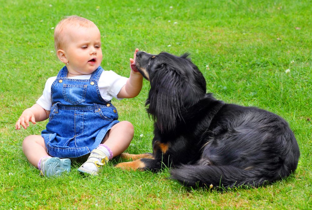 Little baby with dog on a grass