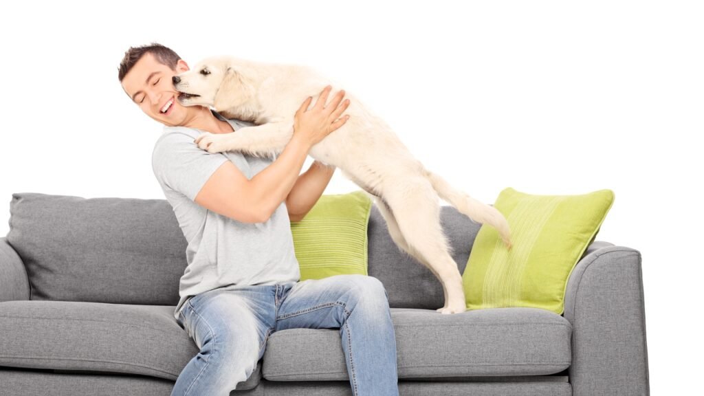 Dog jumping on owner with paws