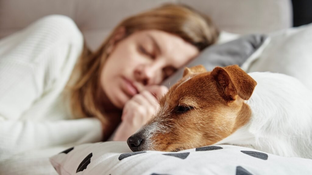 Woman sleep with dog on sofa