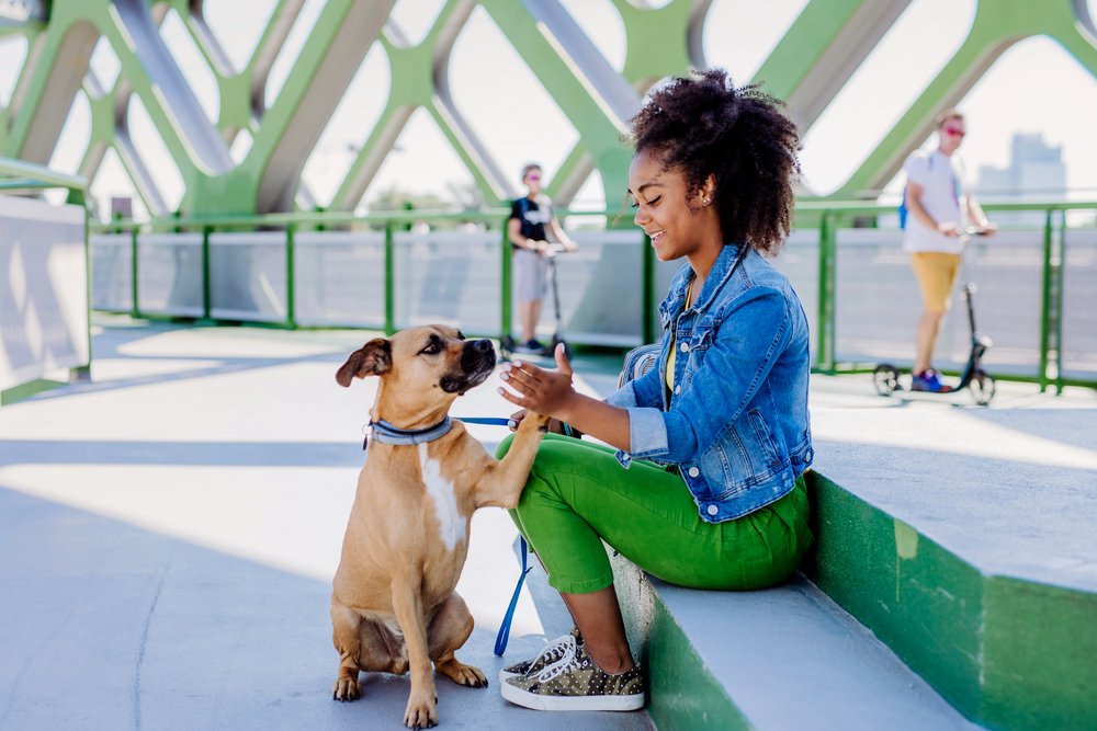 A dog gives a paw to a girl.