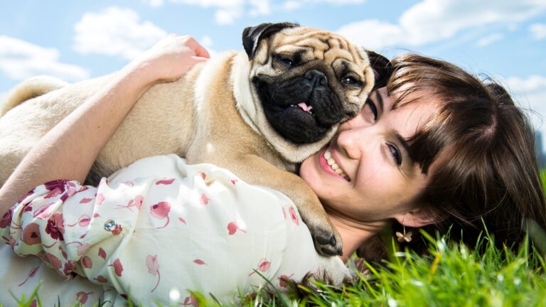 Featured: Pug with owner