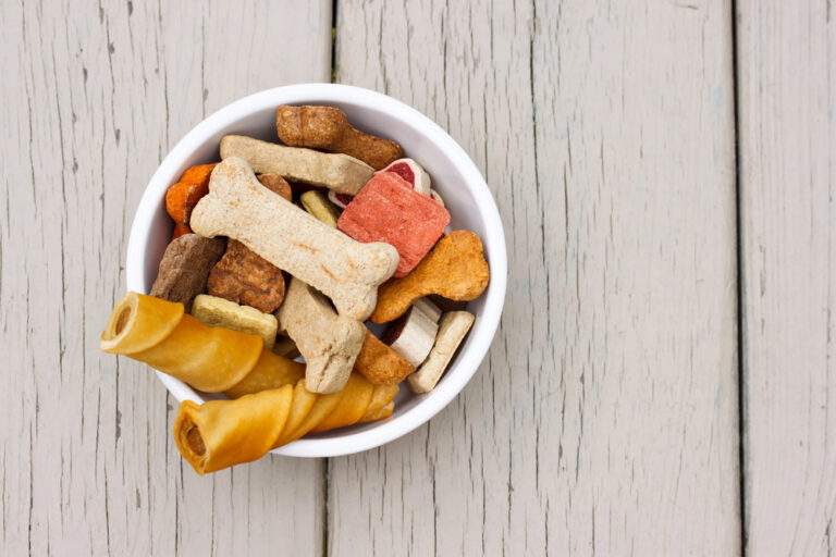 Assortment of dog treats