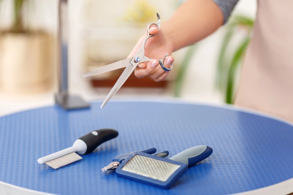 Dog grooming tools.