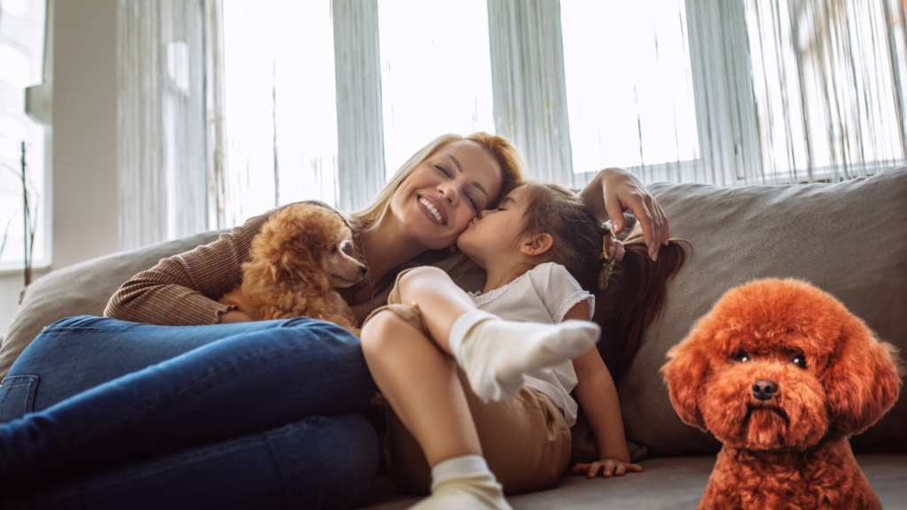 Poodle with family